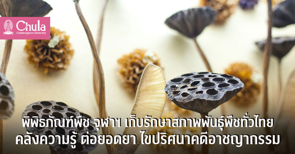 สืบจากพืช พิพิธภัณฑ์พืช จุฬา