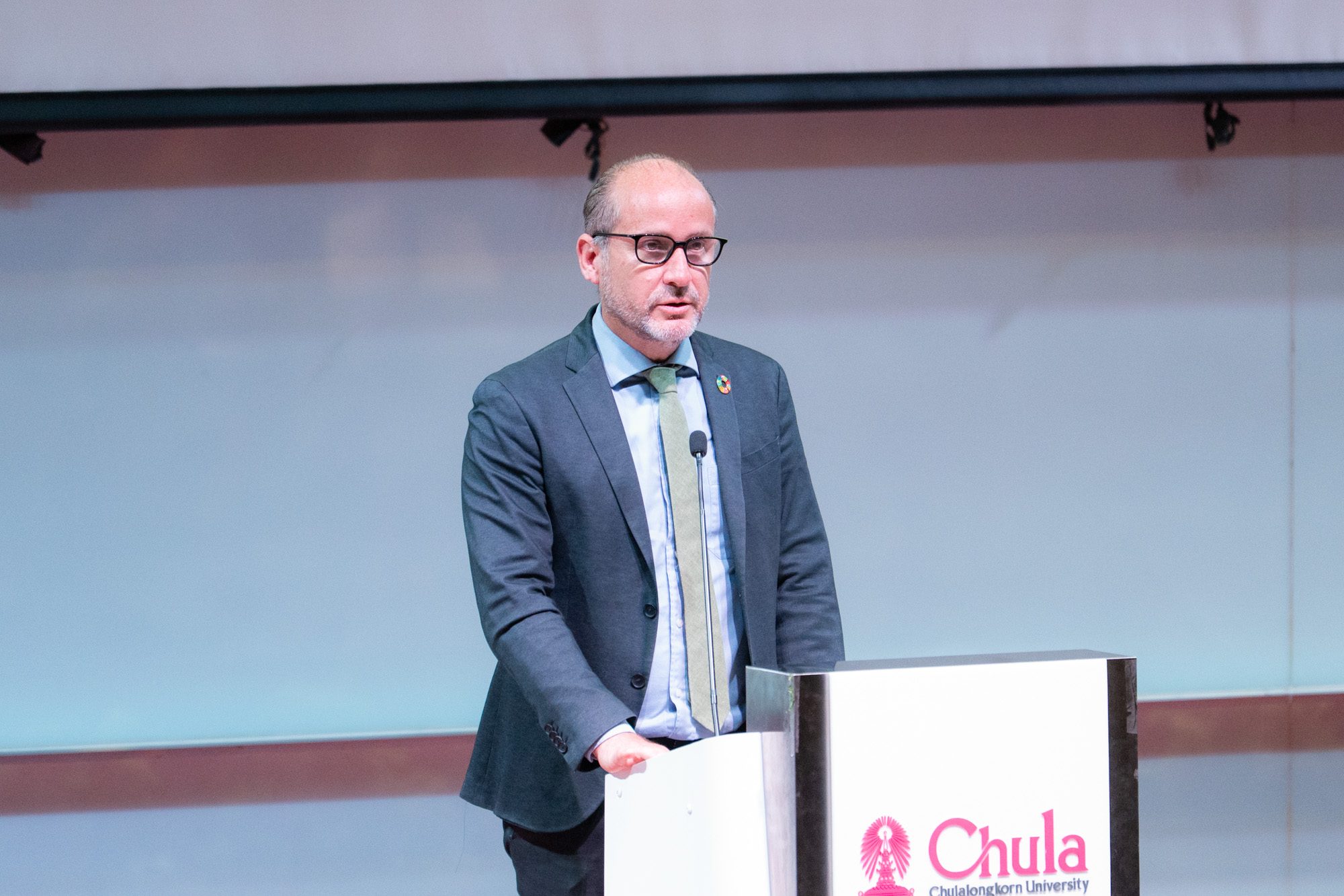 Mr. Gilles Pecassou
 IRD Deputy Director