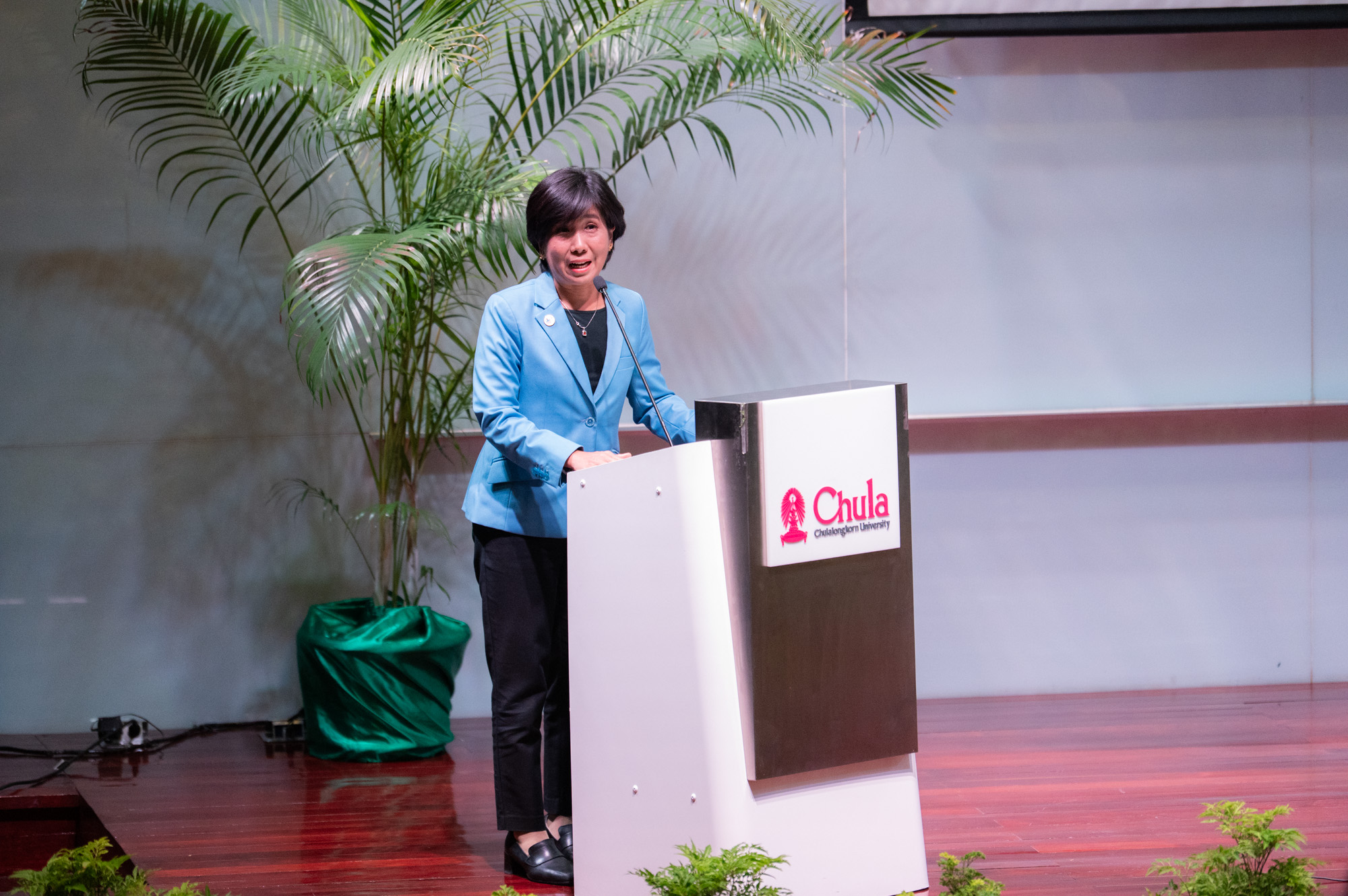 Chulalongkorn University Co-hosts SEAES 2025 to Strengthen Regional Environmental Research Collaboration 