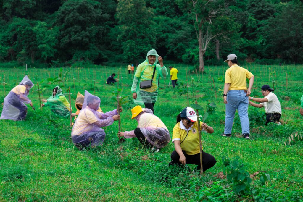 Chula’s Reforestation Project Achieves Highest Carbon Sequestration Rate Among Thai Universities 