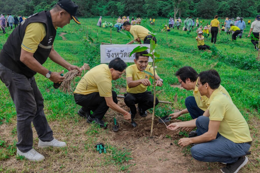 Chula’s Reforestation Project Achieves Highest Carbon Sequestration Rate Among Thai Universities 