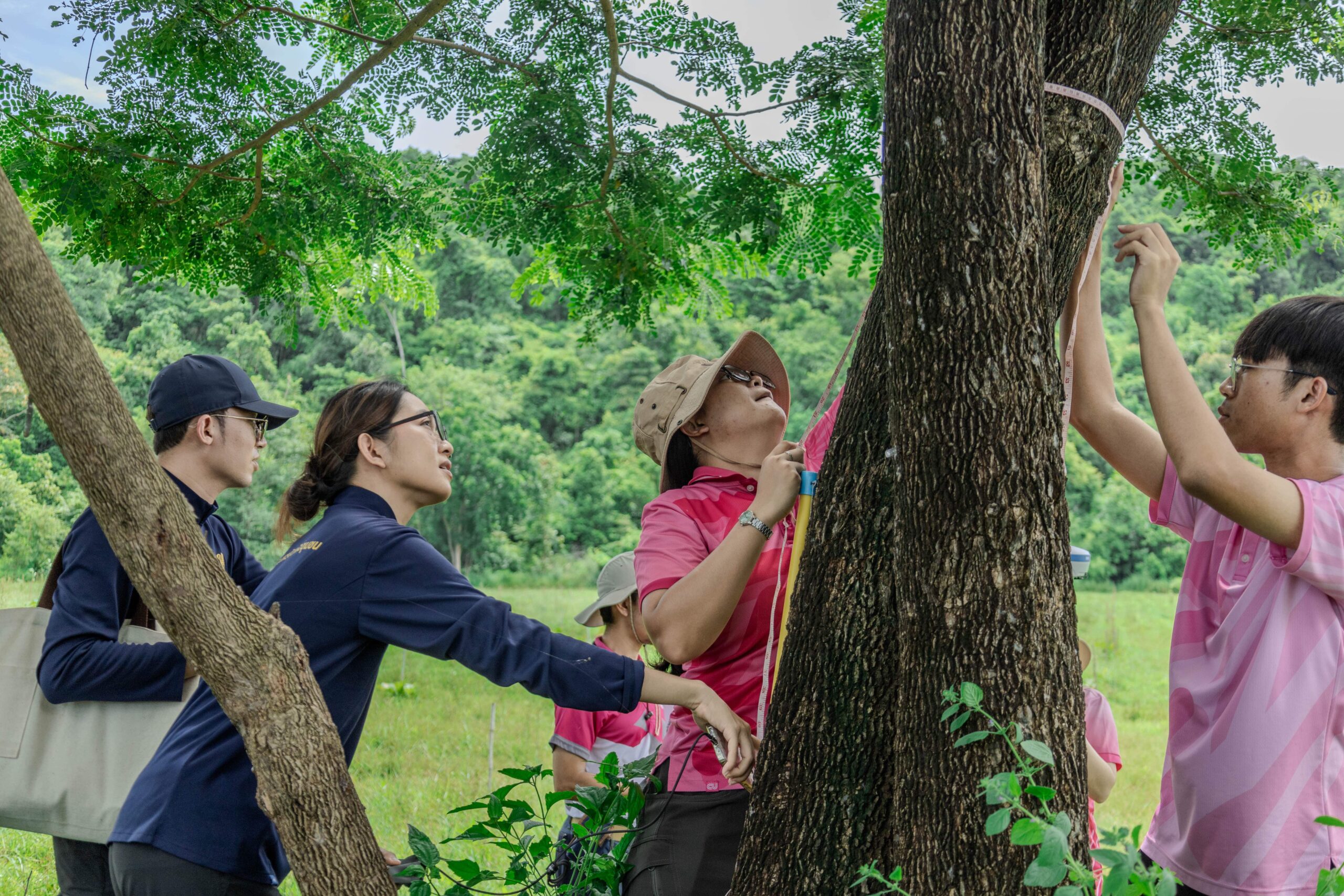 Chula’s Reforestation Project Achieves Highest Carbon Sequestration Rate Among Thai Universities 