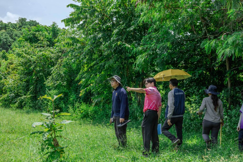 Chula’s Reforestation Project Achieves Highest Carbon Sequestration Rate Among Thai Universities 