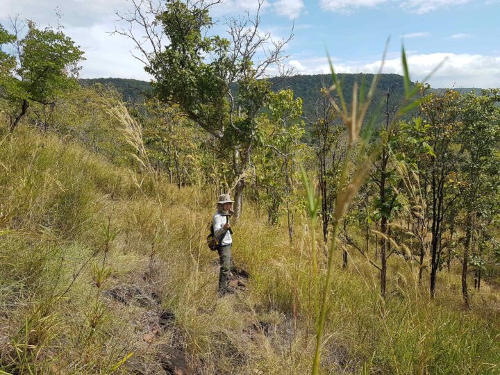 Assoc. Prof. Dr. Kantaphon believes that the southern region of Thailand during the Ice Age was once a grassland with mixed forests.
รศ. ดร.กันตภณ เชื่อว่า พื้นที่ภาคใต้ของไทยในสมัยยุคน้ำแข็งเคยเป็นทุ่งหญ้าที่มีป่าผสมมาก่อน 