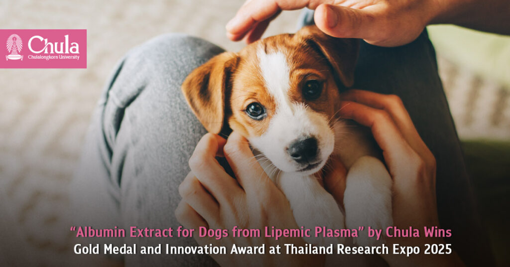 “Albumin Extract for Dogs from Lipemic Plasma” by Chula Students and Faculty Wins Gold Medal and Innovation Award at Thailand Research Expo 2025