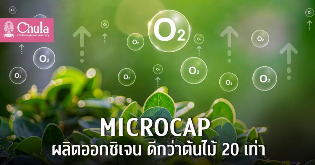 MICROCAP จุลสาหร่ายผลิตออกซิเจน 20 เท่าต้นไม้