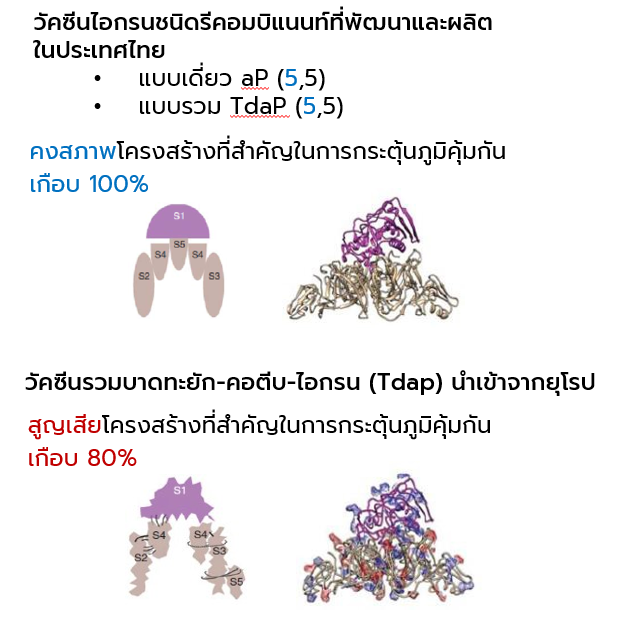 การผลิตวัคซีนโดยใช้วิธี Recombinant Protein ทำให้โครงสร้างของโปรตีนไม่ถูกทำลายโดยสารเคมี