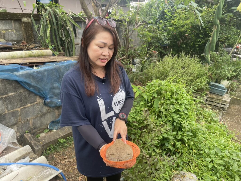 Ms. Sujitra Sutham
Owner of a frog farm in the Sa Nian Subdistrict Administrative Organization
