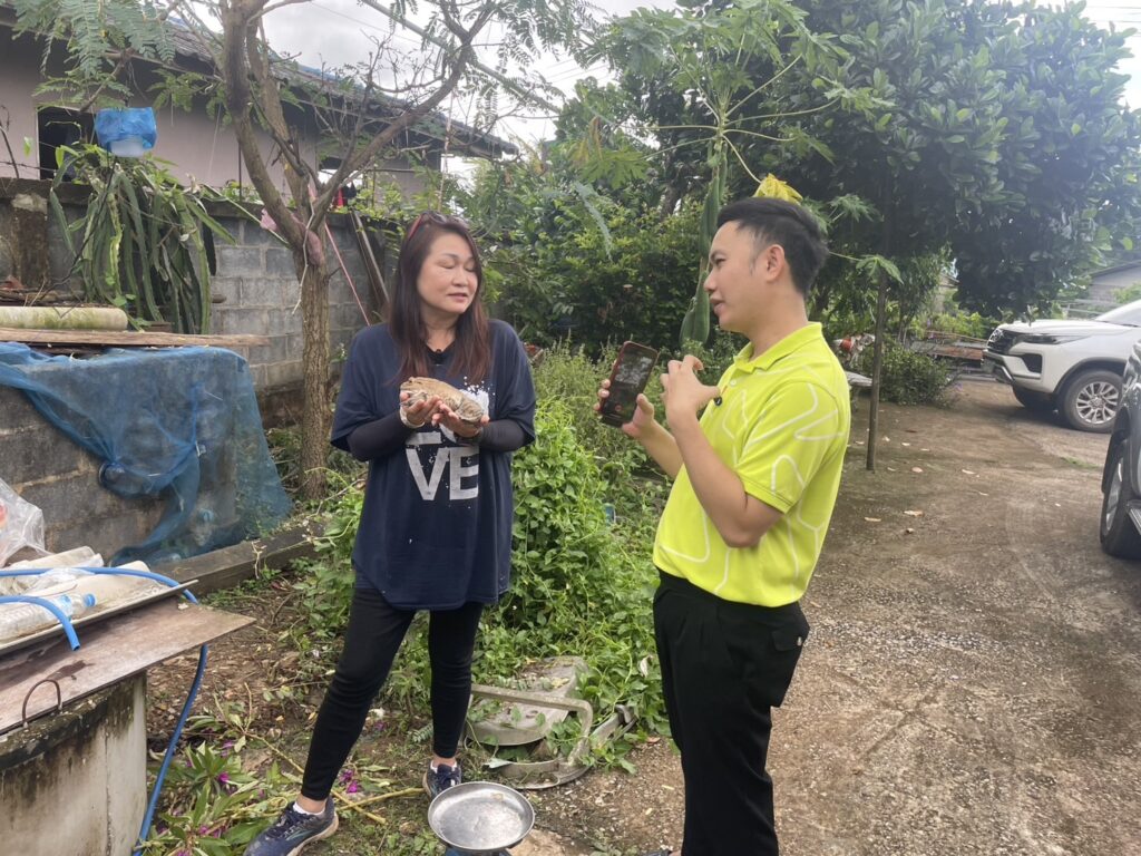 Chula’s Rugose Frog Farming Initiative Helps Nan Farmers Build Sustainable Incomes 