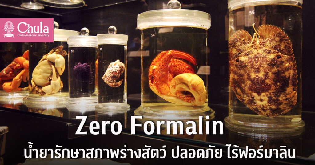 Zero Formalin น้ำยารักษาสภาพร่างสัตว์