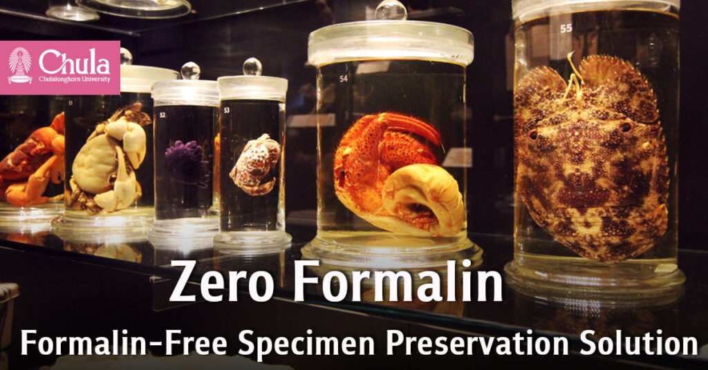 Zero Formalin Specimen Preservation Solution for Formalin-Free Classrooms 