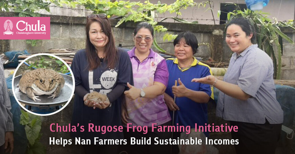 Chula’s Rugose Frog Farming Initiative Helps Nan Farmers Build Sustainable Incomes