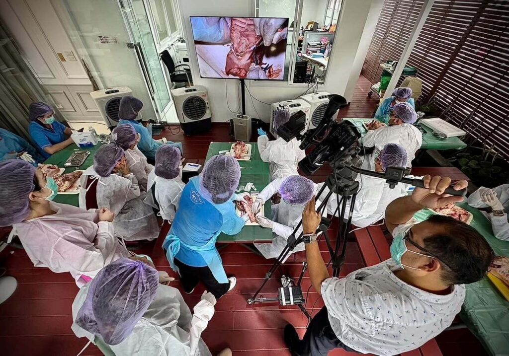 Thailand’s Emerging Opportunity in a Shifting Global Education Landscape 