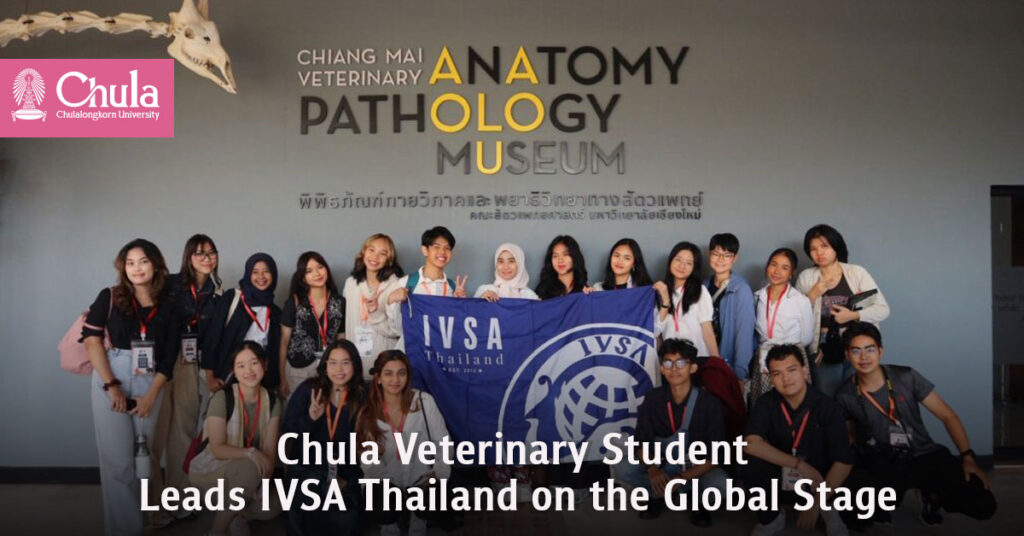 Chula Veterinary Student Leads IVSA Thailand on the Global Stage