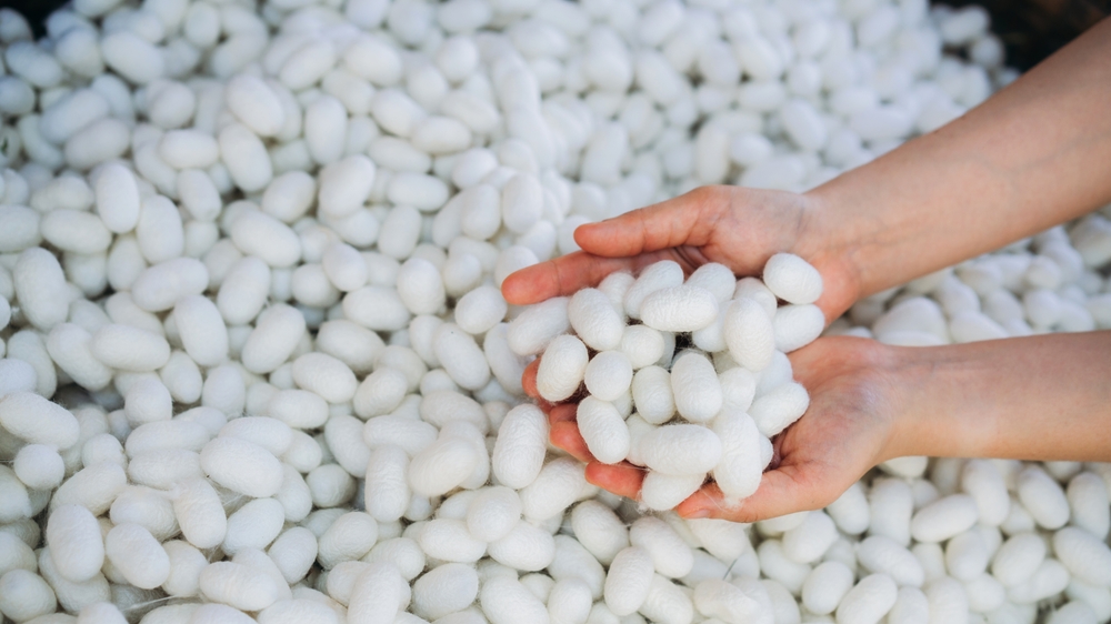 การเลี้ยงหนอนไหม