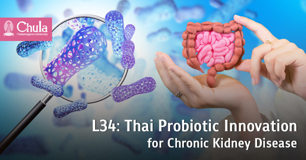 “Lactobacillus rhamnosus L34”: A Native Probiotic That Reduces Inflammation in Patients with Chronic Kidney Disease 