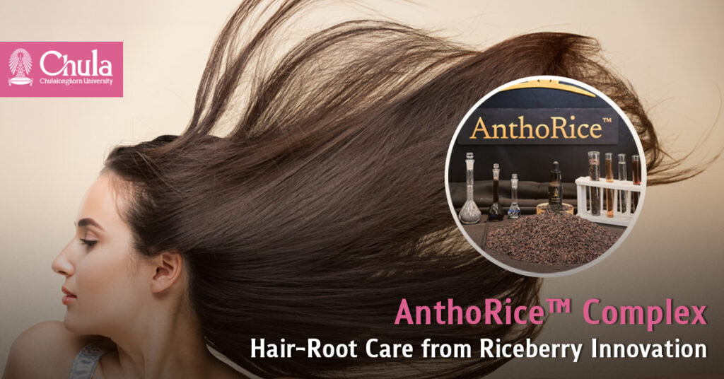 Chula–Mahidol Present AnthoRice™ Complex Hair-Root Care Innovation